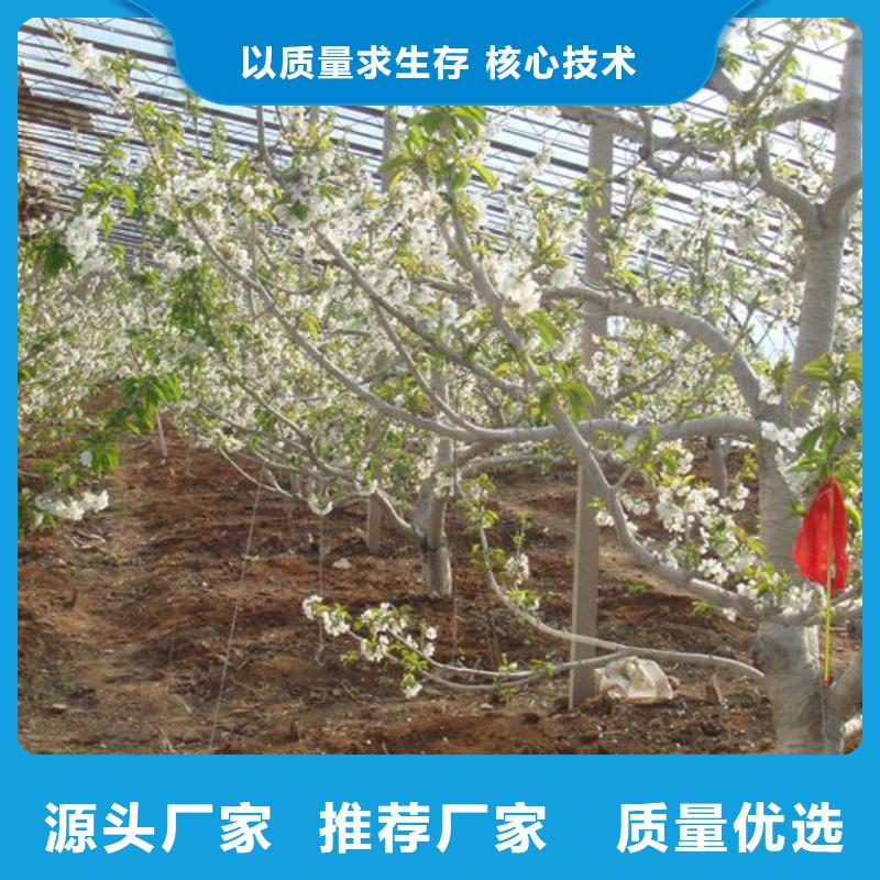 性价比高的蔬菜大棚生产厂家