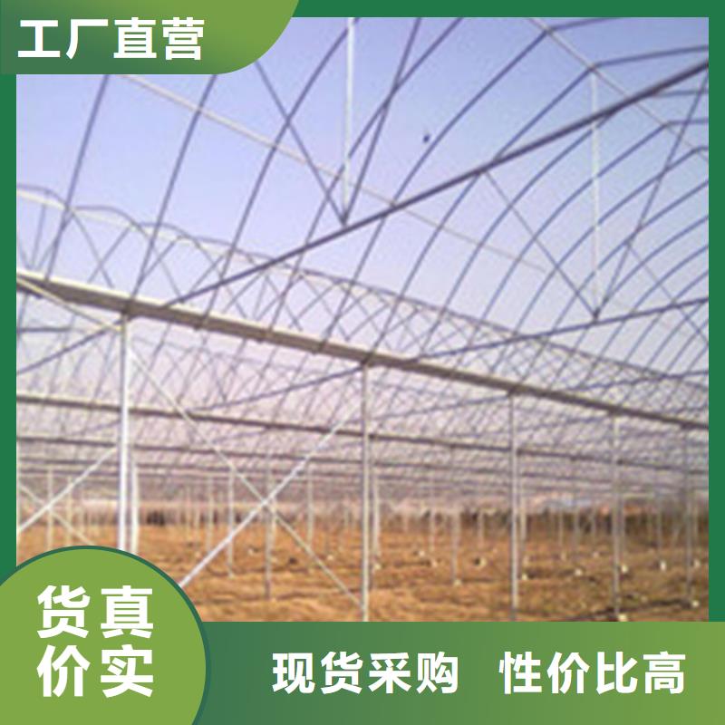 蔬菜大棚原厂直销