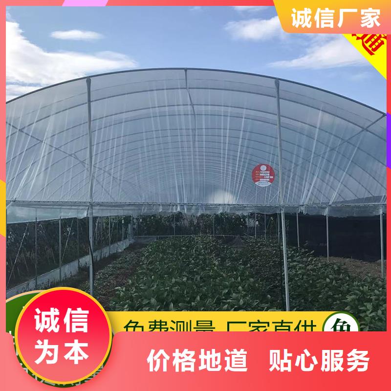 蔬菜大棚定制-蔬菜大棚厂家