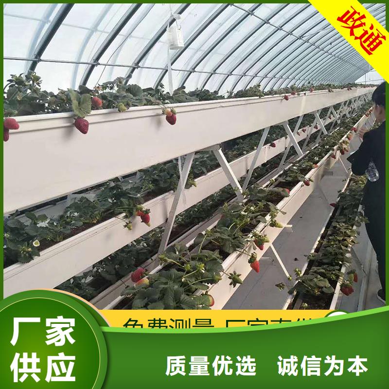 靠谱的蔬菜大棚生产厂家