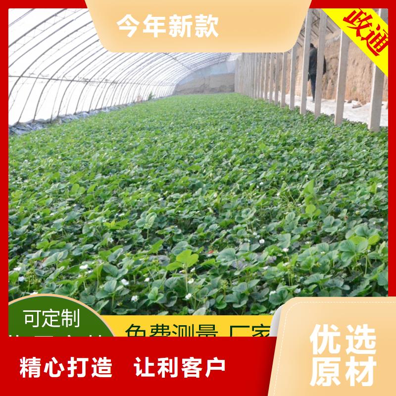 蔬菜大棚_多年制造经验