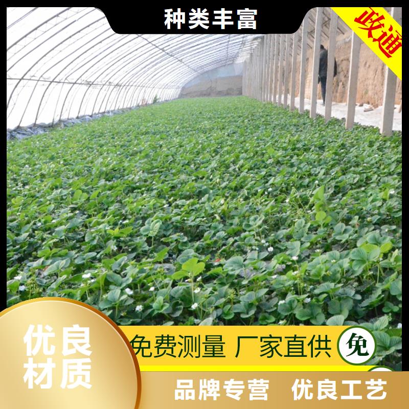 蔬菜大棚价低同行