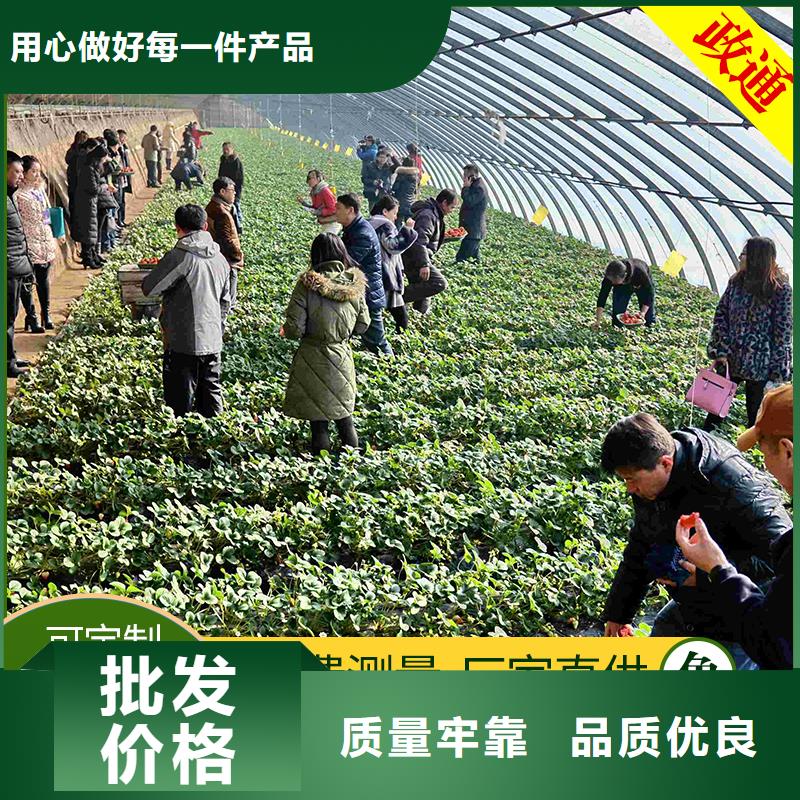 实力雄厚的蔬菜大棚加工厂家