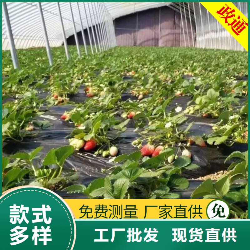 蔬菜大棚_厂家批发_产地货源