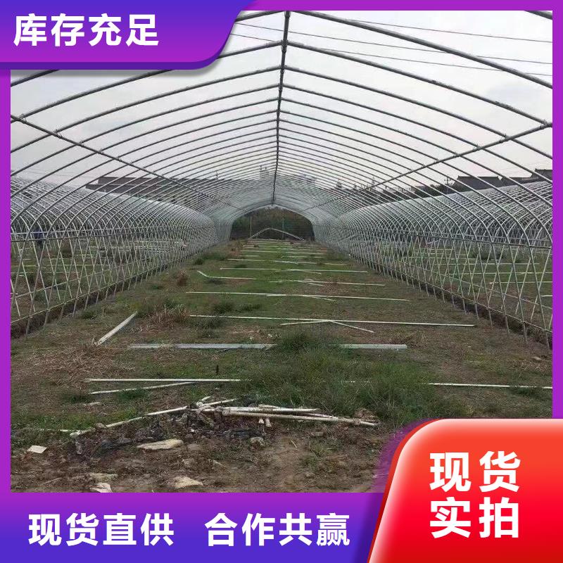 库存充足的蔬菜大棚销售厂家