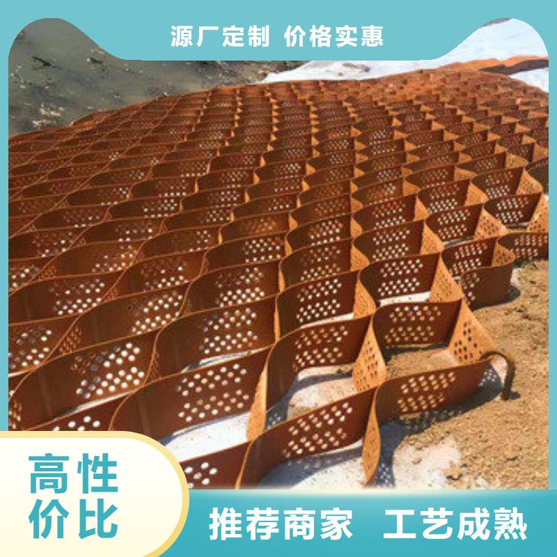 宁强蜂巢土工格室_可定制