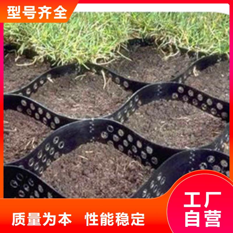 可定制的措美蜂巢土工格室现货厂家