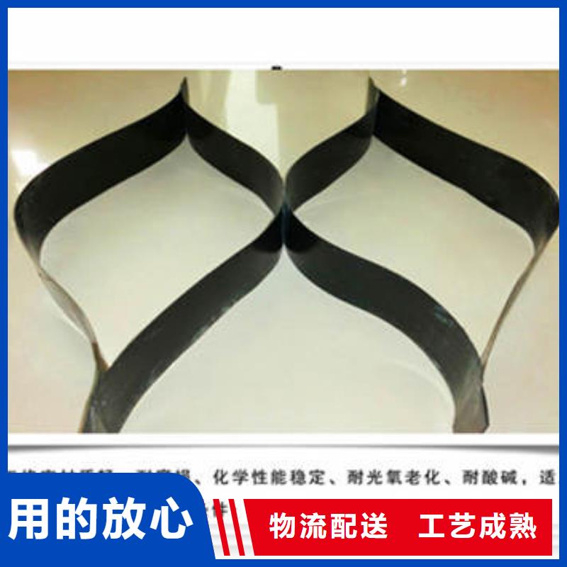 宁强销售蜂巢土工格室-恒丰塑业有限公司