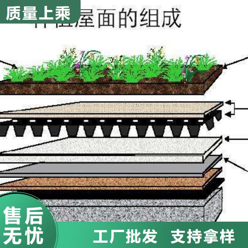 虹吸排水系统口碑好