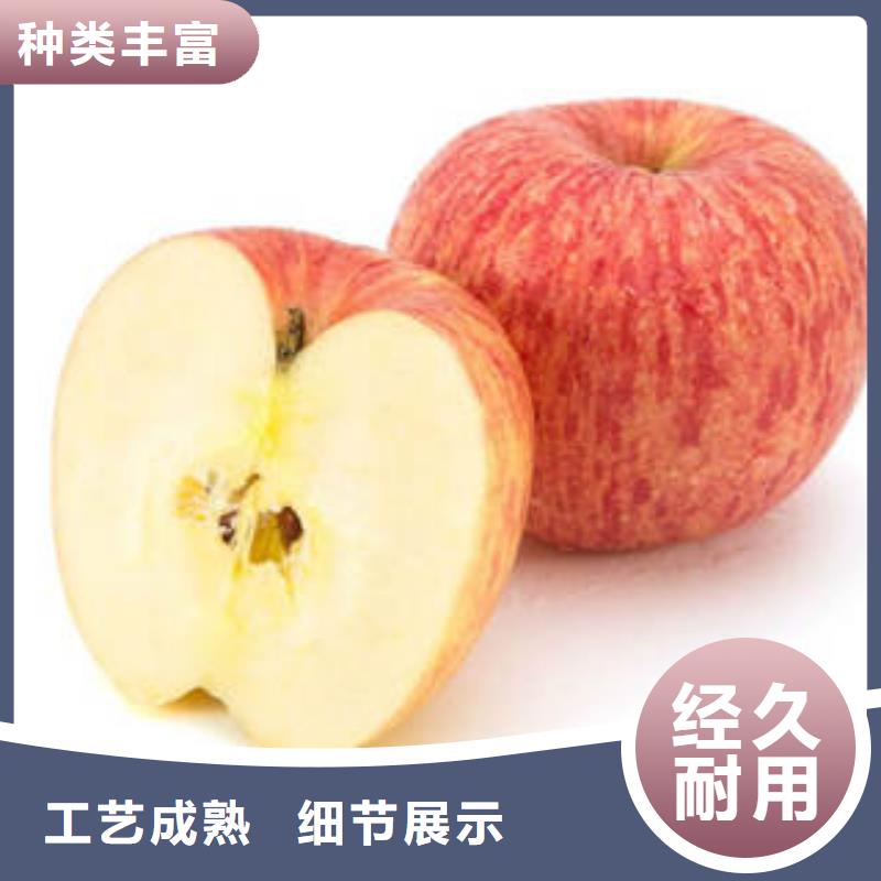 红富士苹果-嘎啦苹果N年生产经验
