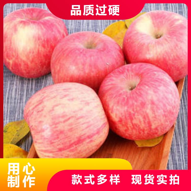 红富士苹果苹果种植基地厂家货源