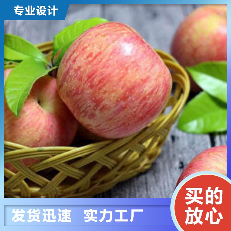 红富士苹果【苹果种植基地】源厂供货