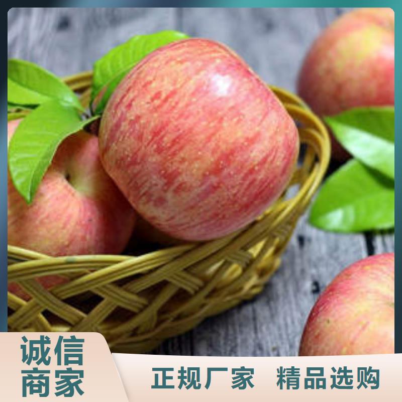 【红富士苹果】红富士苹果产地源头厂源头货