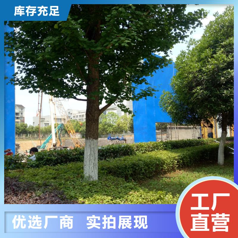 广告素材符合标准