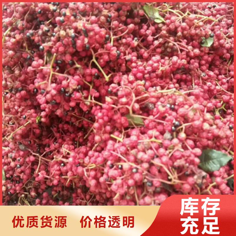 花椒苗桃树苗工厂直供