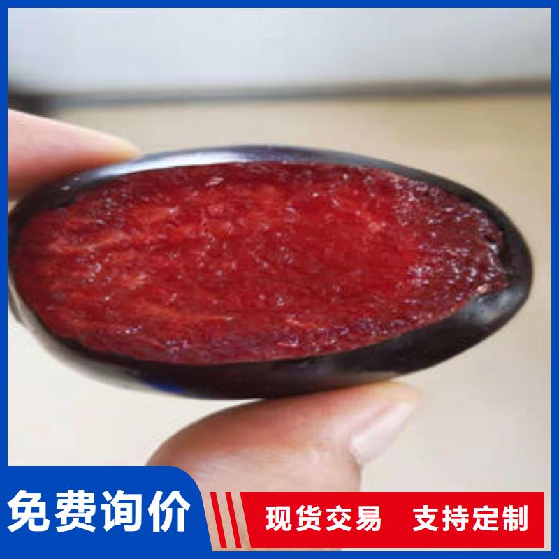 李子苗梨树苗支持定制批发