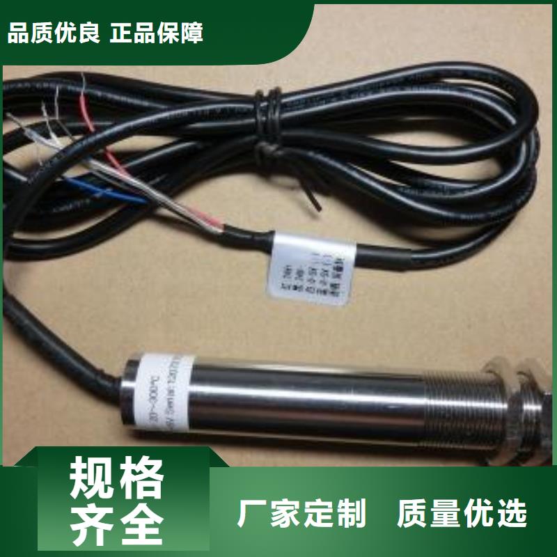 IRTP300L_金属转子流量计多年行业经验