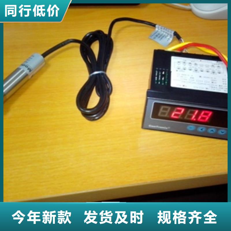 IRTP300L_金属转子流量计多年行业经验
