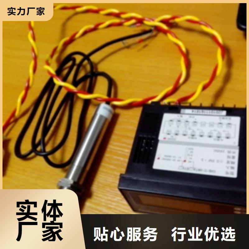 IRTP300L_金属转子流量计多年行业经验