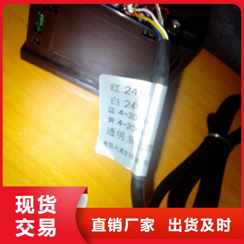 IRTP300L金属管浮子流量计专注质量