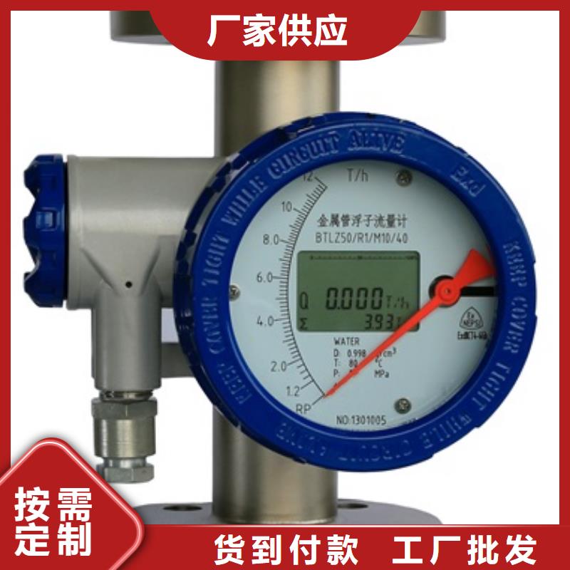 内衬PTFE金属转子流量计微小流量计工期短发货快