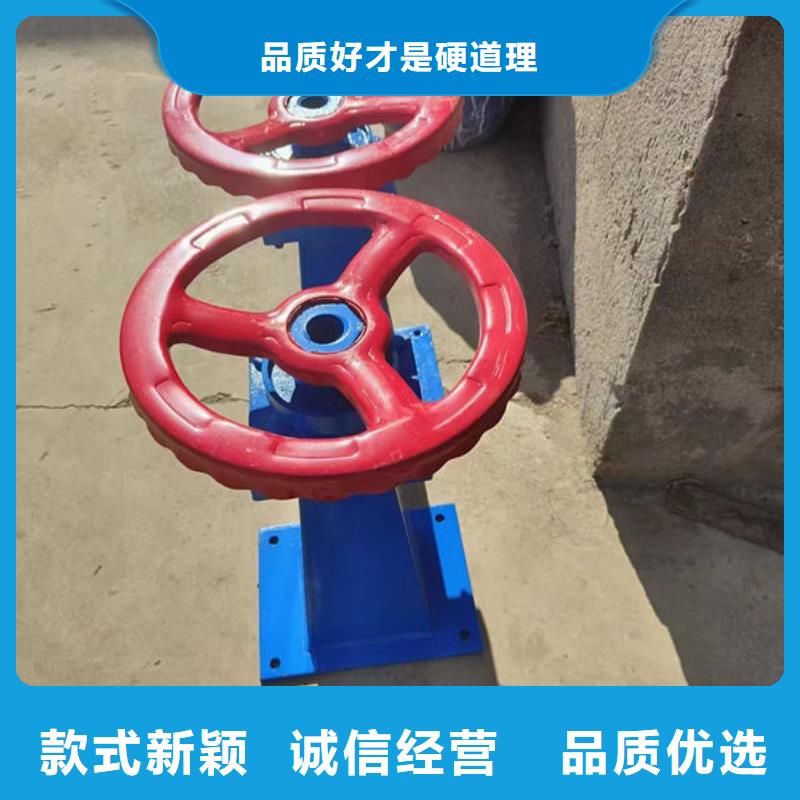 螺杆式启闭机侧摇启闭机N年专注