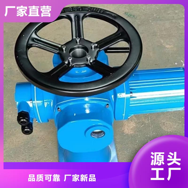 螺杆式启闭机,电动头启闭机保障产品质量
