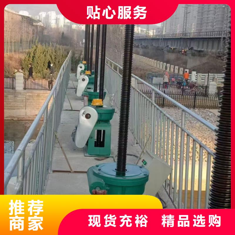 螺杆式启闭机启闭机闸门款式多样