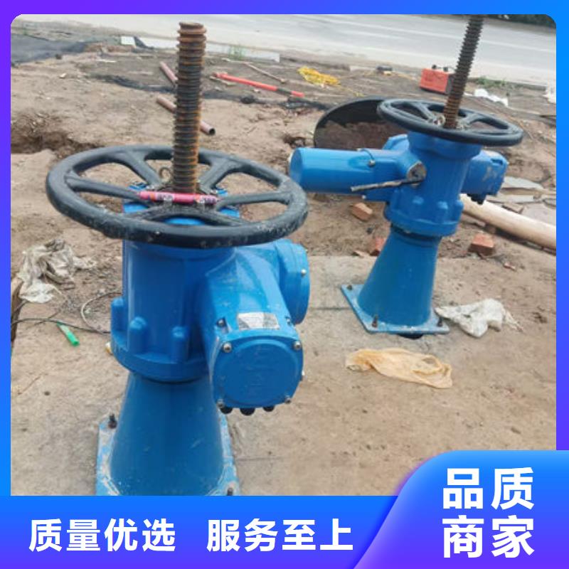 螺杆式启闭机,摇摆式启闭机质检合格发货
