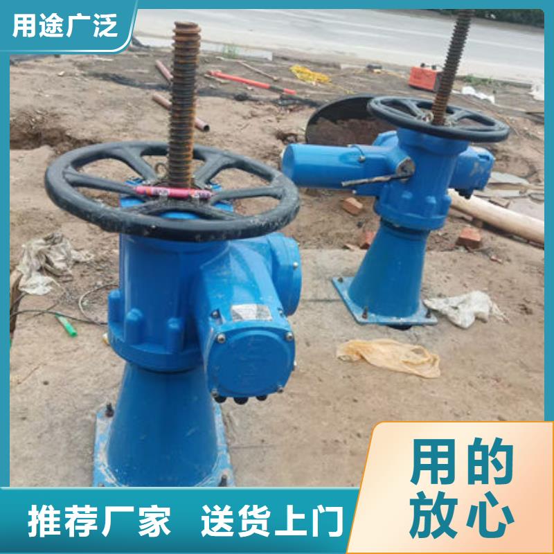 螺杆式启闭机_双吊点启闭机品牌大厂家