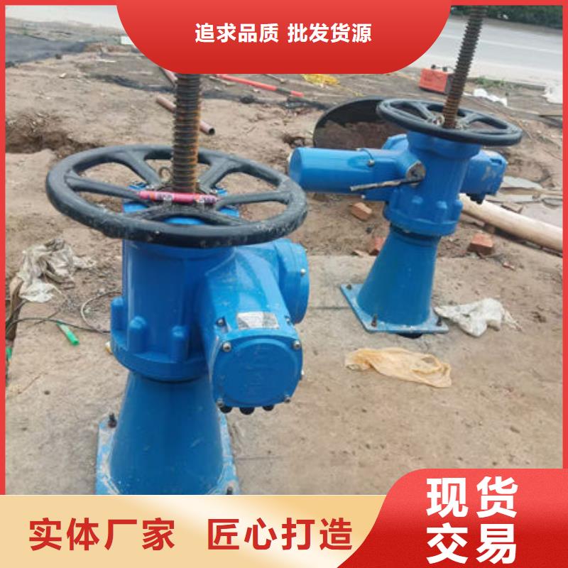螺杆式启闭机-斜拉式启闭机精致工艺