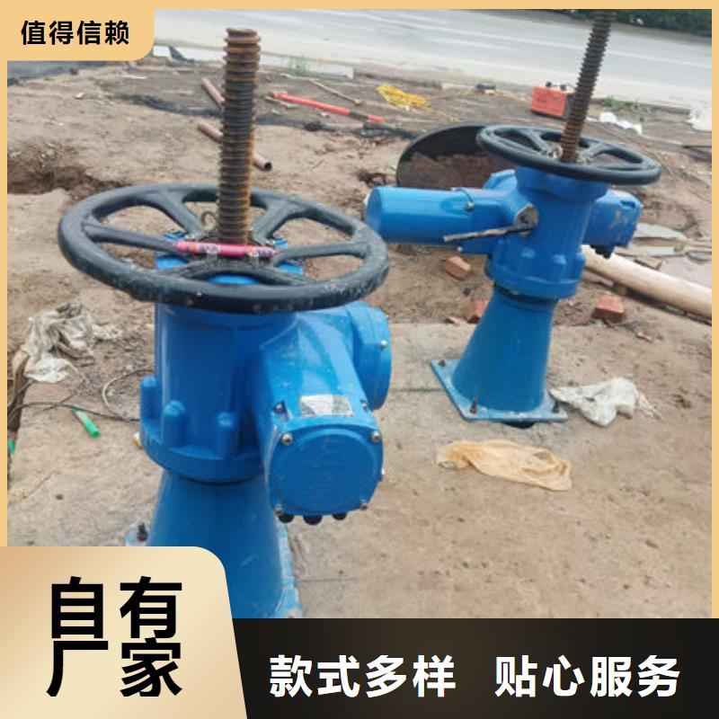 螺杆式启闭机启闭机闸门厂家拥有先进的设备