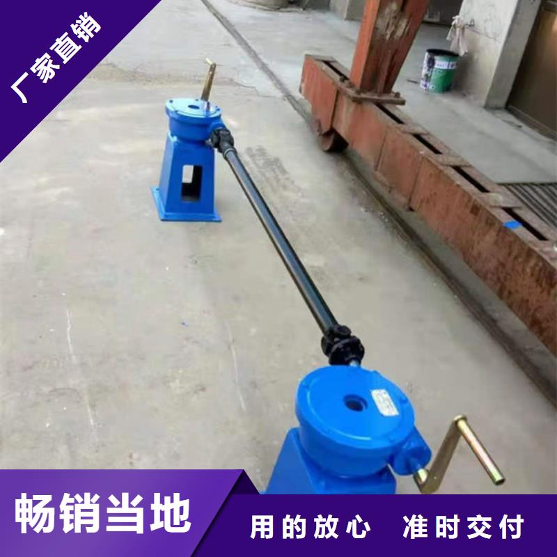 螺杆式启闭机平推启闭机经验丰富质量放心