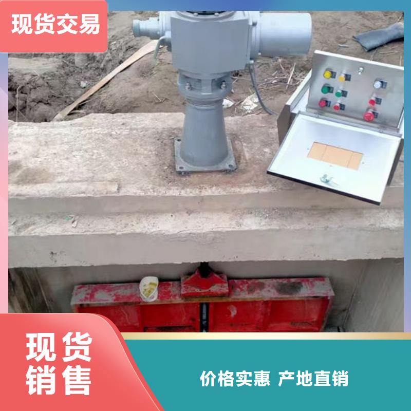铸铁闸门水电站铸铁闸门品种全