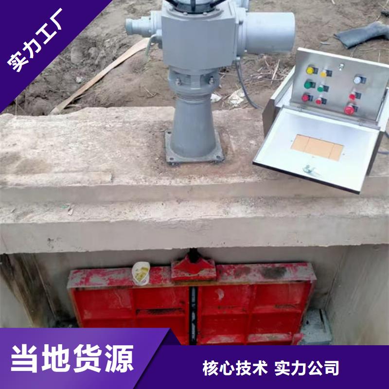 铸铁闸门镶铜铸铁闸门真诚合作