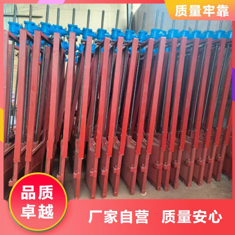 铸铁闸门渠道闸门供您所需