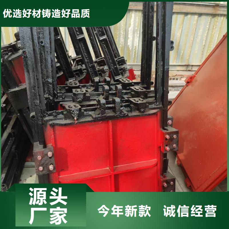 铸铁闸门镶铜铸铁闸门保质保量