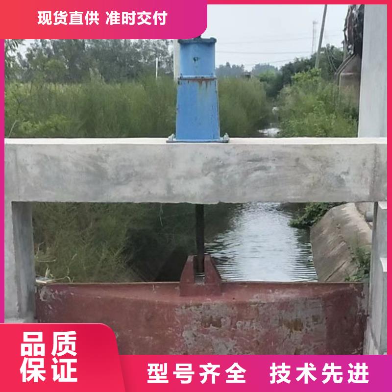 铸铁闸门镶铜铸铁闸门服务周到
