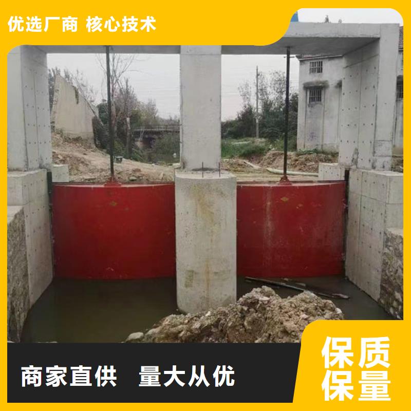 铸铁闸门_镶铜铸铁闸门免费获取报价