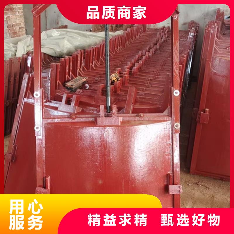 铸铁闸门扇形闸门来图定制量大从优