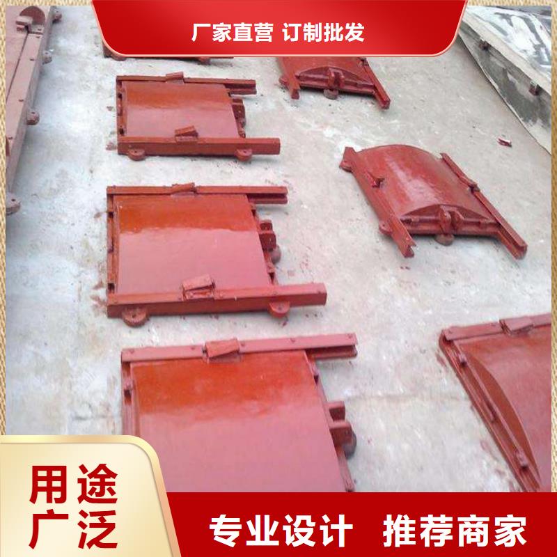铸铁闸门,法兰铸铁圆闸门有实力有经验