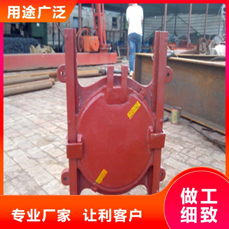 铸铁闸门水电站铸铁闸门定金锁价