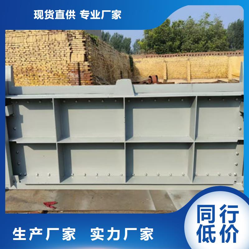 钢坝闸门,自动抓梁甄选好厂家