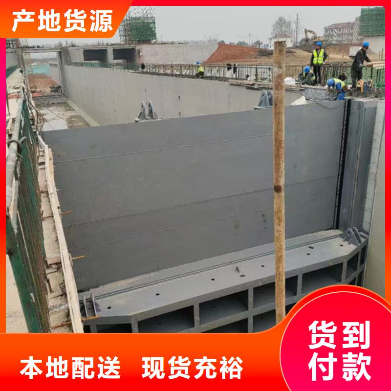 钢坝闸门合页钢坝讲信誉保质量
