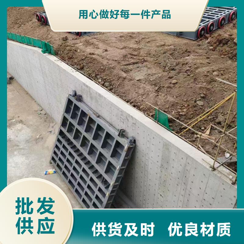 钢坝闸门泵站上卧式闸门质量优价格低