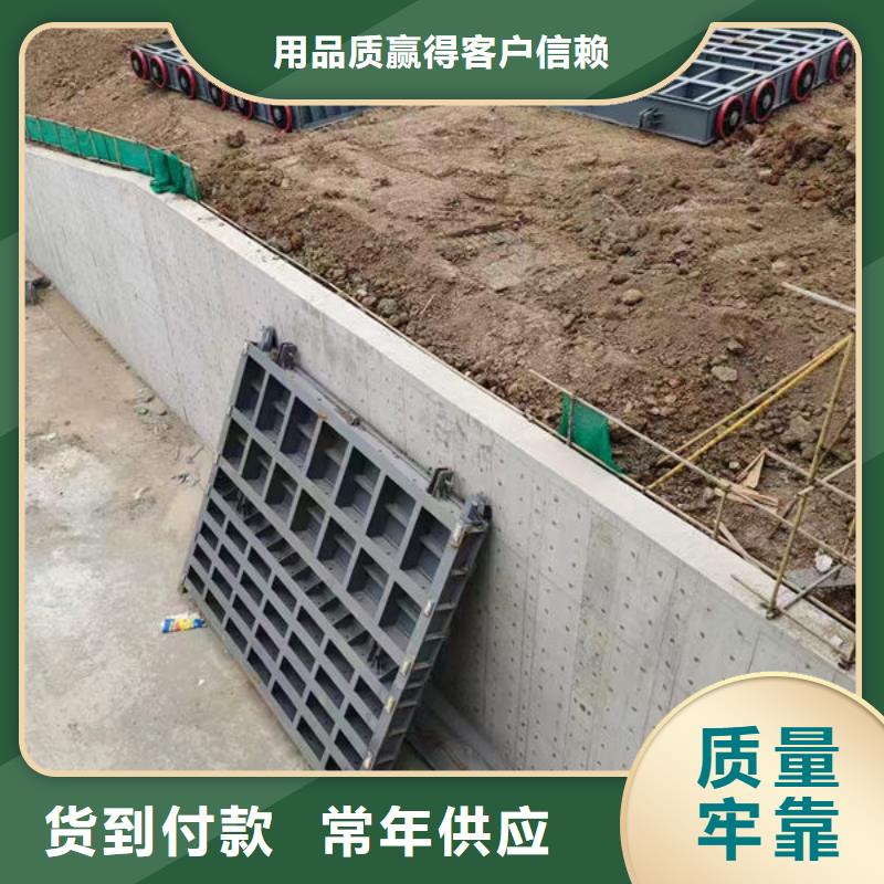 钢坝闸门自动抓梁供应采购