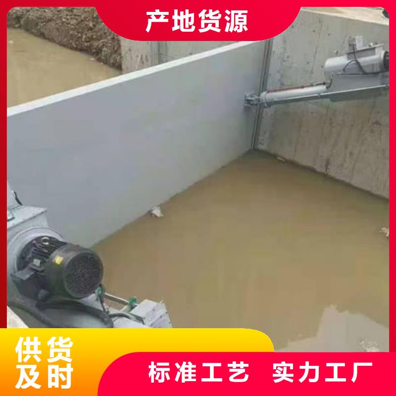 钢坝闸门自动抓梁经验丰富品质可靠