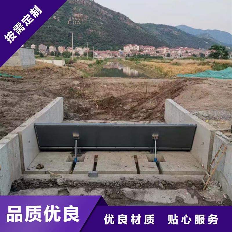 钢坝闸门合页钢坝讲信誉保质量