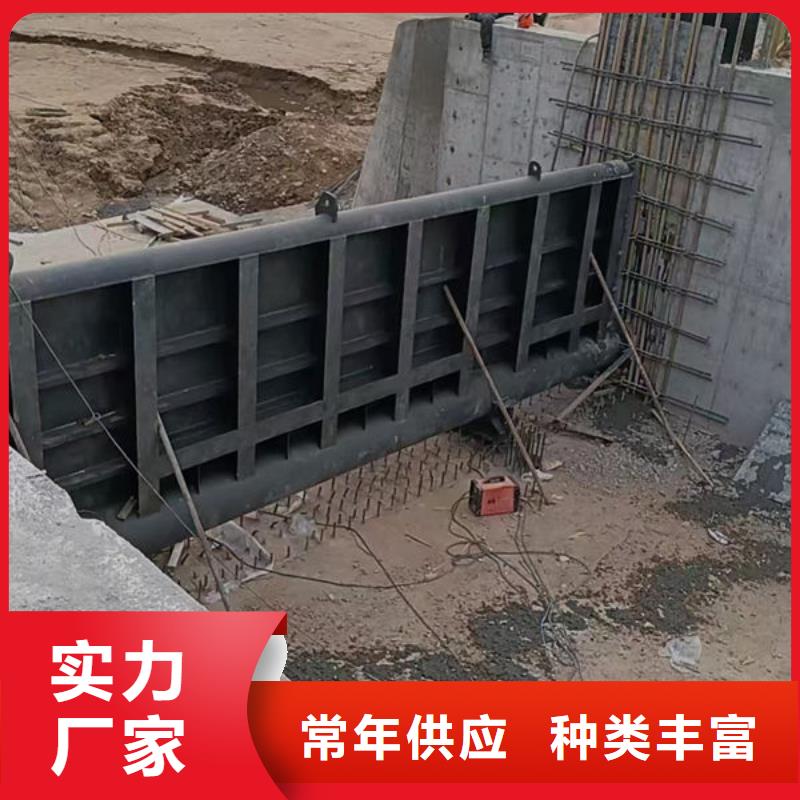 钢坝闸门钢制拍门服务周到