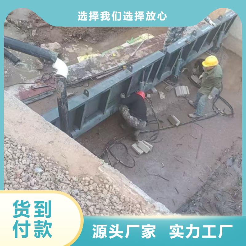 钢坝闸门钢制拍门服务周到